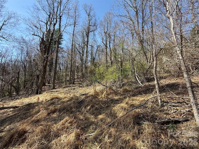 3 Fawn Turn Lane, Hendersonville, NC 28739