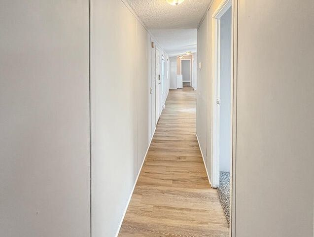 20101 Tamarack Drive, Howard City, MI 49329