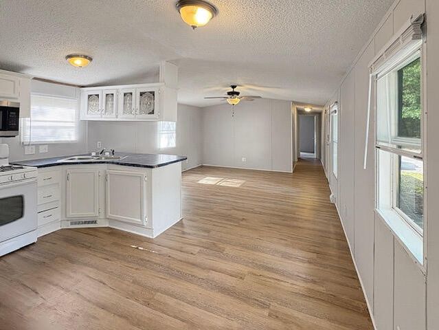 20101 Tamarack Drive, Howard City, MI 49329