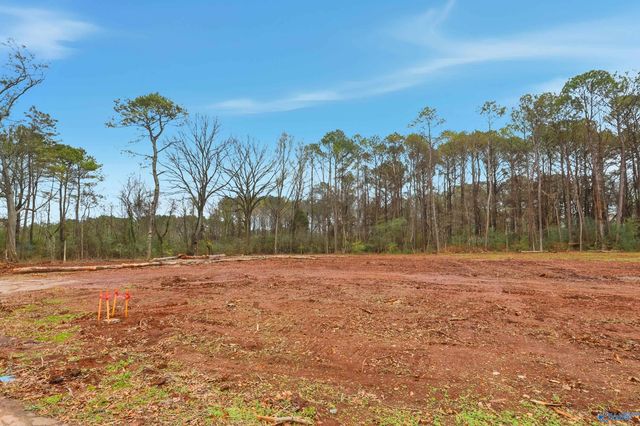 183 Jacque Jim Drive, Huntsville, AL 35810