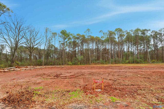 183 Jacque Jim Drive, Huntsville, AL 35810