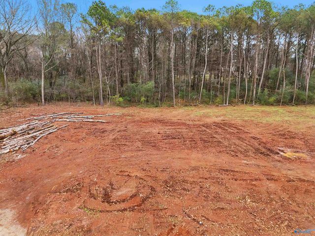 183 Jacque Jim Drive, Huntsville, AL 35810