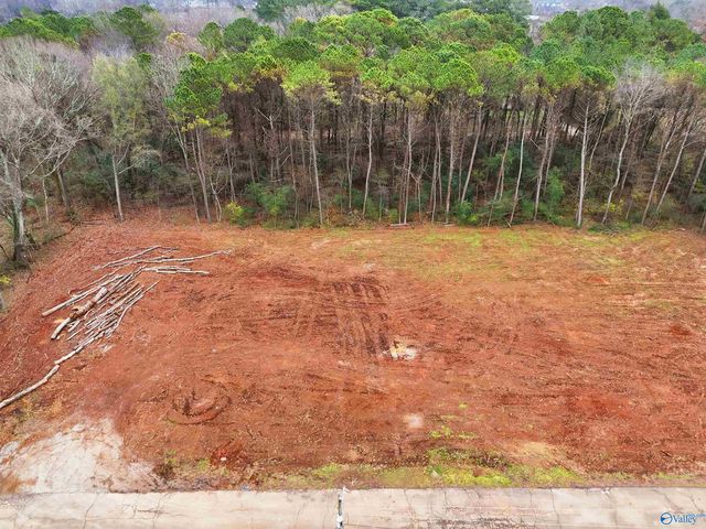 183 Jacque Jim Drive, Huntsville, AL 35810