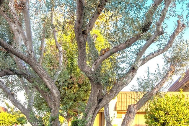 6909 Andrew Way, Cypress, CA 90630