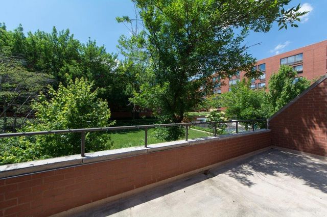 1153 S Plymouth Court C, Chicago, IL 60605