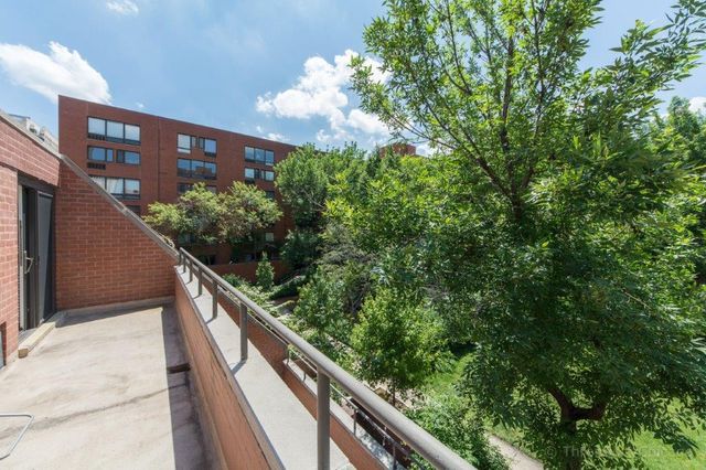 1153 S Plymouth Court C, Chicago, IL 60605