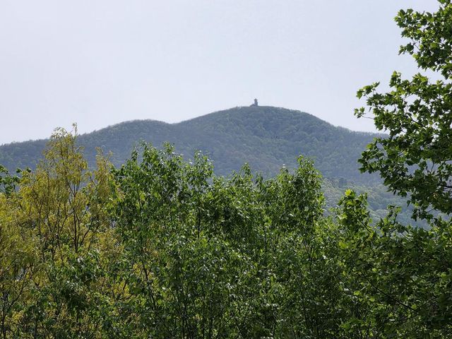 3204 Creek View Road, Hiawassee, GA 30546
