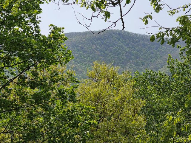 3204 Creek View Road, Hiawassee, GA 30546