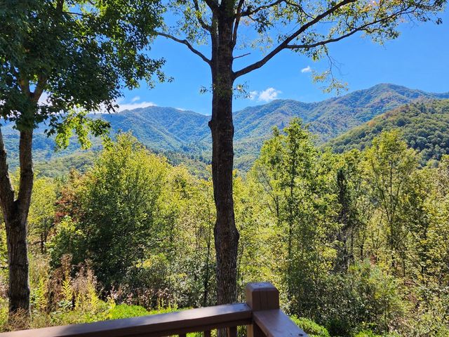 248 Hillside Lane, Andrews, NC 28901