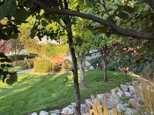 12567 S BLACKSMITH LN, Draper, UT 84020