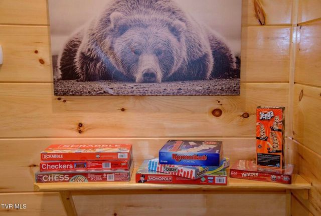 834 String Run Way, Pigeon Forge, TN 37863