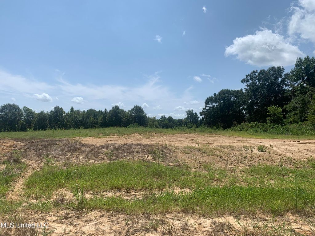 44 Deerwood Crossing Drive, Lake Cormorant, MS 38641 — exterior