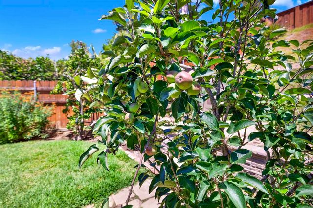 1649 Boulder Creek Road, Oceanside, CA 92056