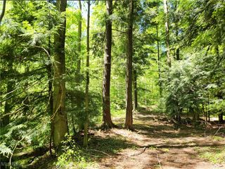 VACANT LAND Brakeman Road, Painesville Twp, OH 44077