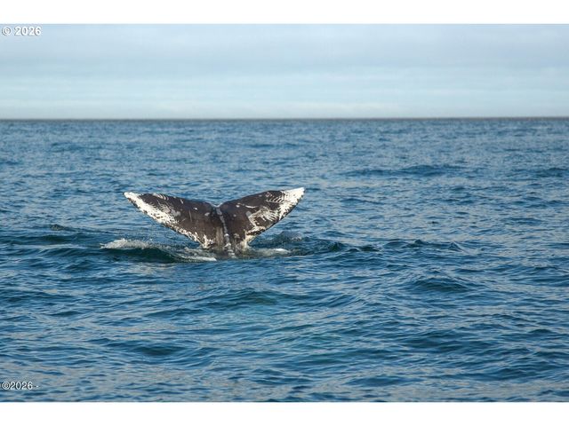 3763 ROCKY CREEK Ave, Depoe Bay, OR 97341