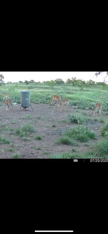 Image 3 of property listing at 0000 FM 1828, Eldorado, TX 78624