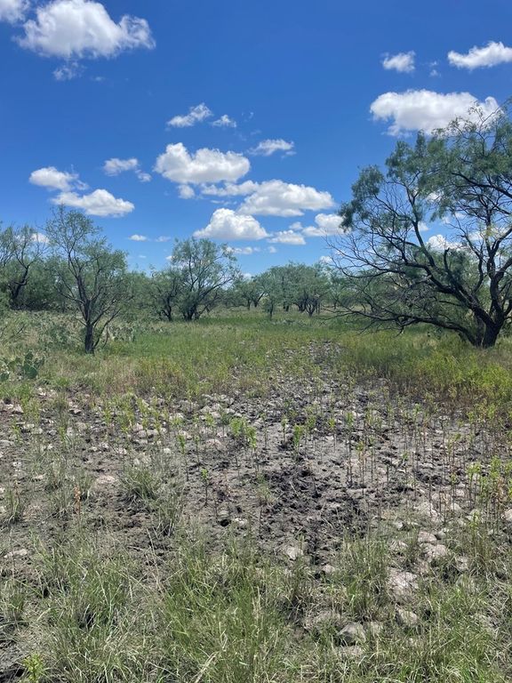 Image 8 of property listing at 0000 FM 1828, Eldorado, TX 78624