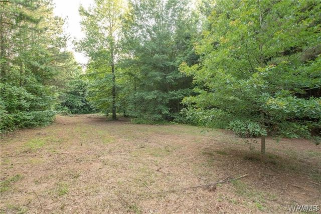 15919 Northwind, Northport, AL 35475