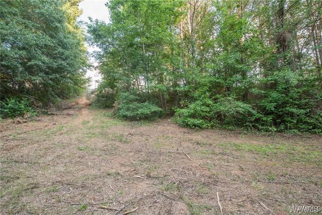 15919 Northwind, Northport, AL 35475