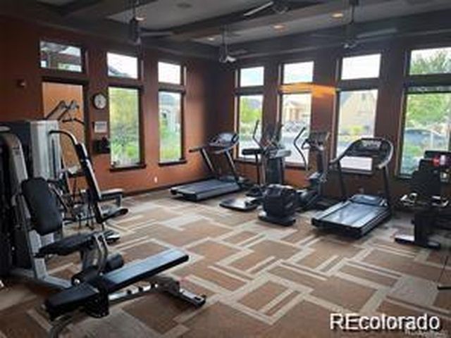 20412 E 52nd Ave, Denver, CO 80249