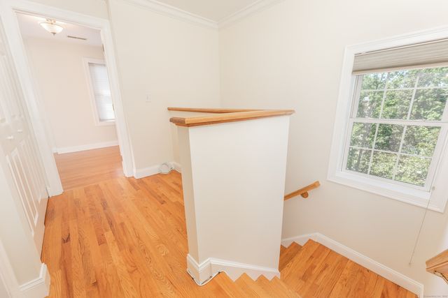 70 Fountain Street 4, New Haven, CT 06515