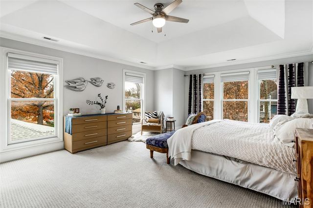 719 Yale Avenue, Webster Groves, MO 63119