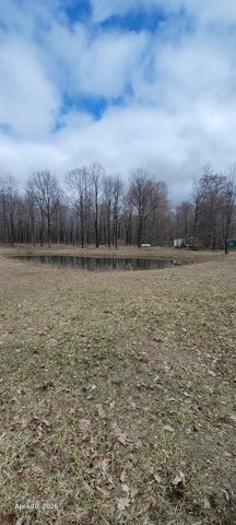 3302 W Dana Road, Coleman, MI 48618