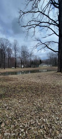3302 W Dana Road, Coleman, MI 48618