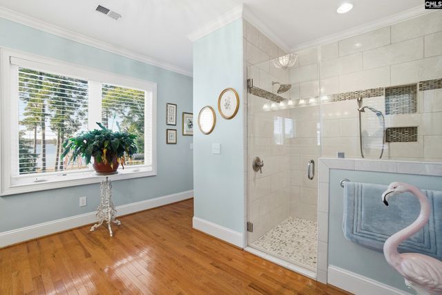 512 Stucks Point Drive, Chapin, SC 29036