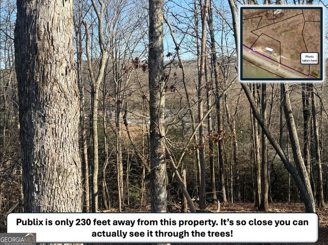 5195 South Chestatee Street, Dahlonega, GA 30533