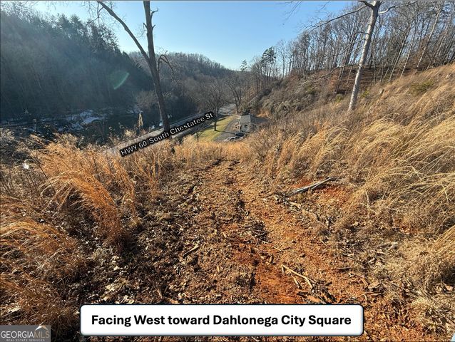 5195 South Chestatee Street, Dahlonega, GA 30533