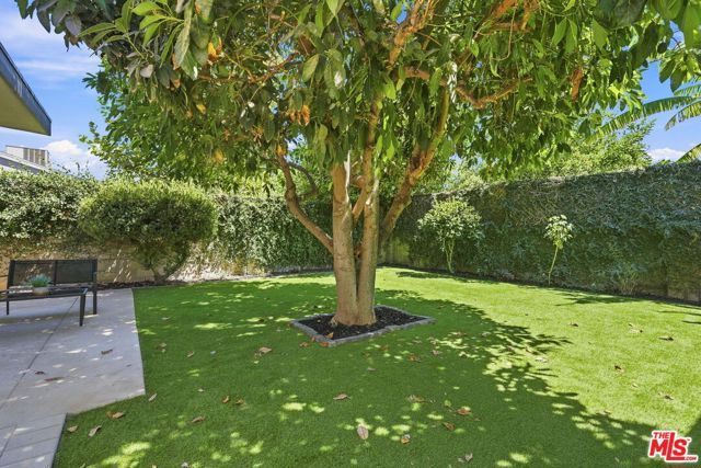 7801 Clearfield Avenue, Los Angeles, CA 91402
