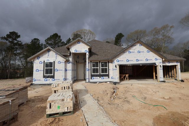 111 Roebuck Lane, New Waverly, TX 77358