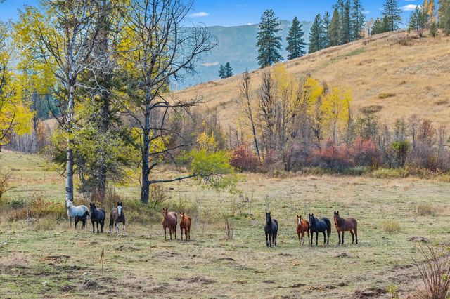 3115 Beardslee Rd, Kettle Falls, WA 99141