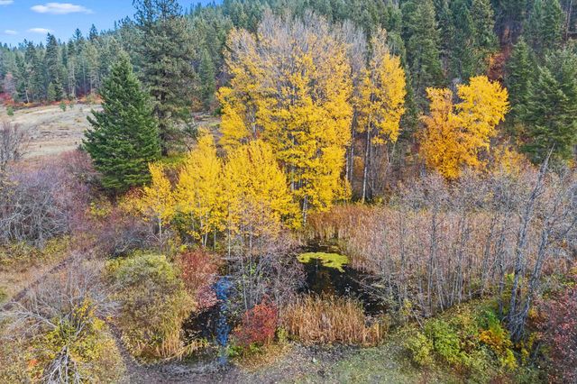 3115 Beardslee Rd, Kettle Falls, WA 99141