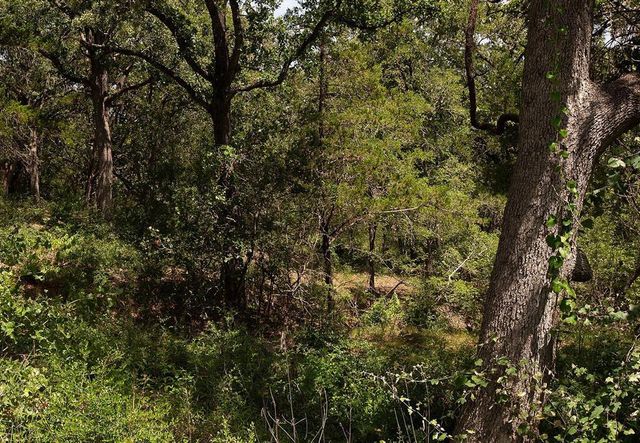 TBD Post Oak Rim DR, Bastrop, TX 78602