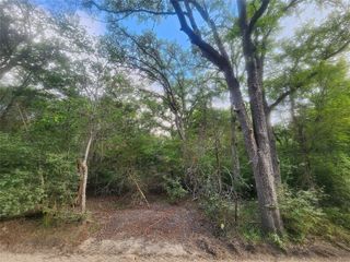 TBD Post Oak Rim DR, Bastrop, TX 78602