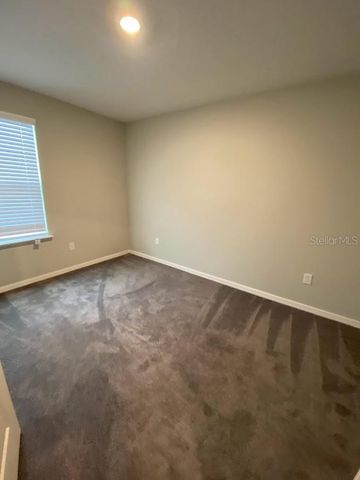 10908 GOLDEN ACORN AVENUE, Tampa, FL 33610