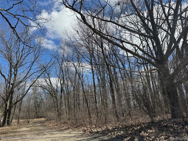 5193 Vassar Road, Atlas Township, MI 48439