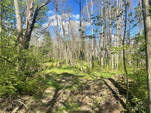 3022 Wilmington Rd, Neshannock Twp, PA 16105