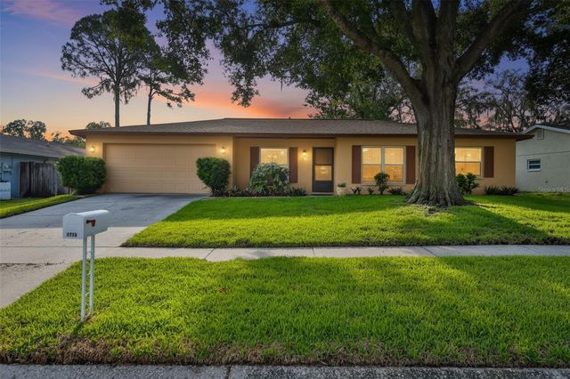3718 SAND PEBBLE DRIVE, Valrico, FL 33596