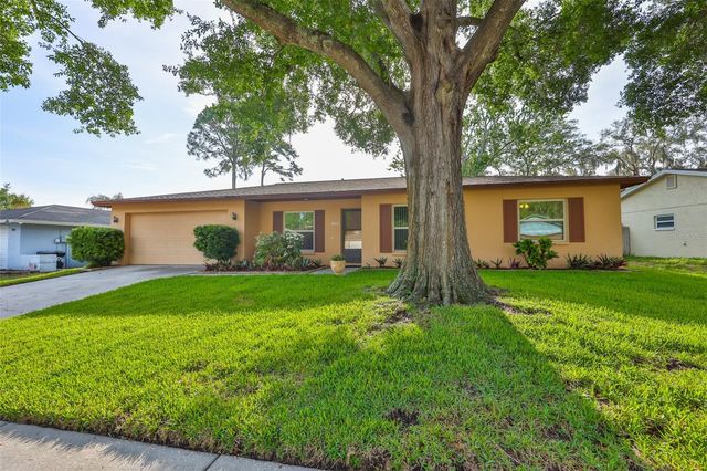 3718 SAND PEBBLE DRIVE, Valrico, FL 33596
