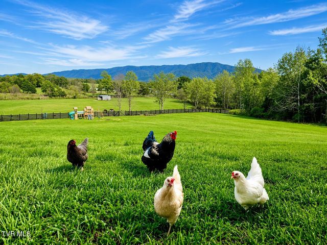 250 Burnetts Chapel Lane, Greeneville, TN 37743