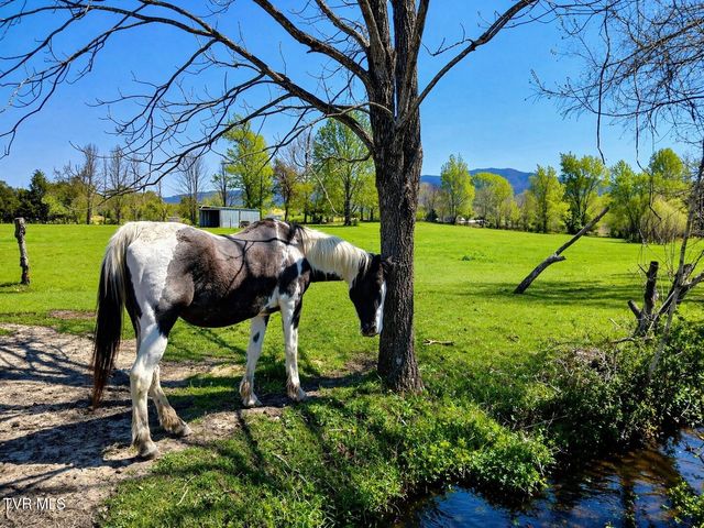 250 Burnetts Chapel Lane, Greeneville, TN 37743
