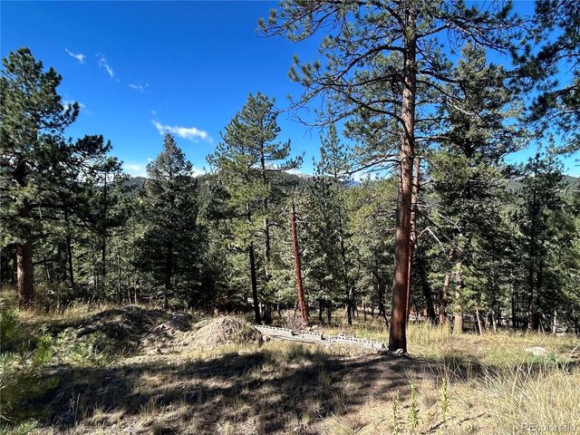 0 Pine Road, Evergreen, CO 80439