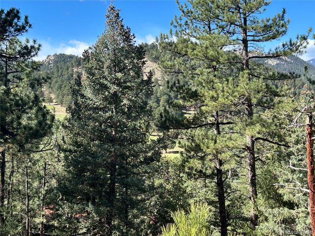 0 Pine Road, Evergreen, CO 80439