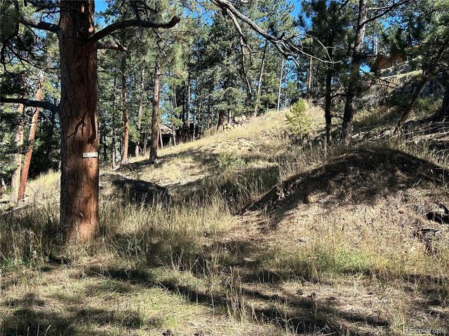 0 Pine Road, Evergreen, CO 80439