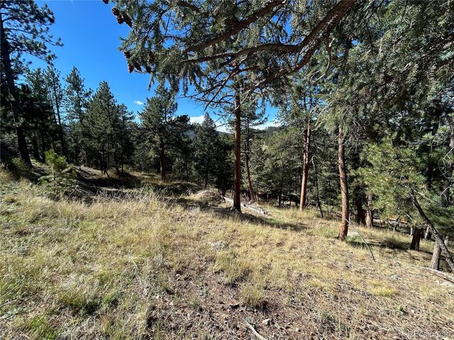0 Pine Road, Evergreen, CO 80439