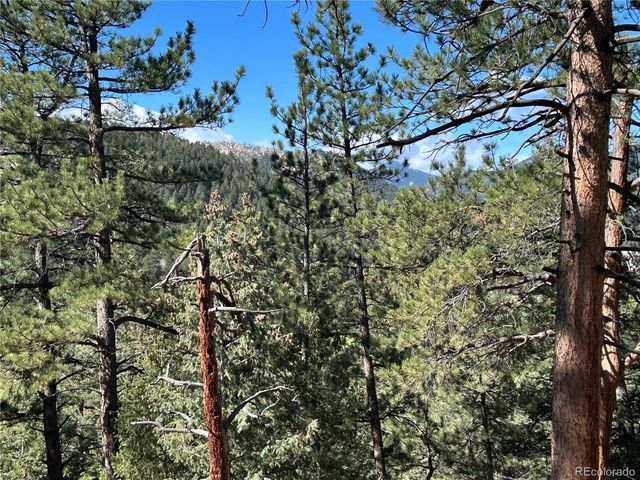 0 Pine Road, Evergreen, CO 80439