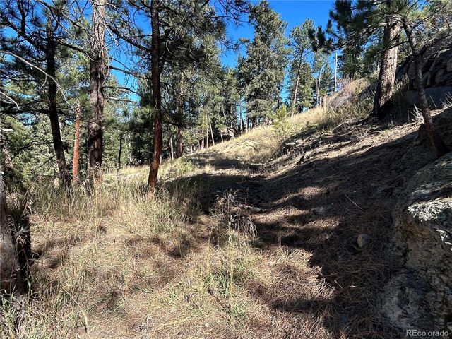 0 Pine Road, Evergreen, CO 80439